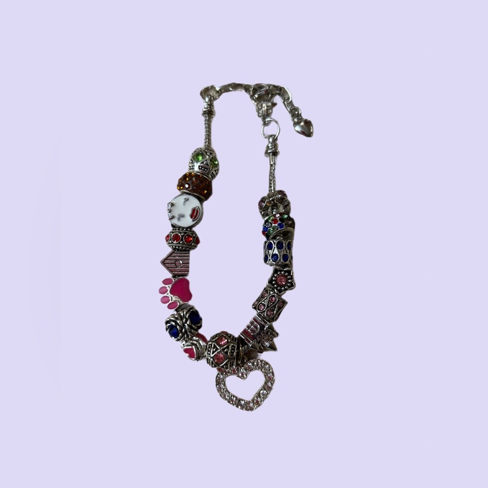 Silver and Multi coloured Charm Bracelet